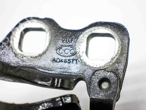 Hinge/Door check strap TESLA MODEL 3 (5YJ3) EV AWD | BP29227859C146 