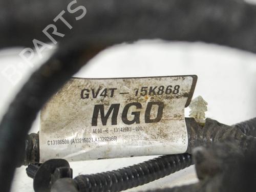 Wiring harness FORD KUGA II (DM2) 1.5 TDCi | BP14672454E16 