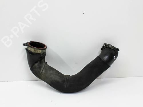 Used Support AUDI A5 (8T3) 2.7 TDI (190 hp) 19130089