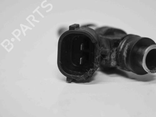 Injector VW GOLF VII (5G1, BQ1, BE1, BE2) 2.0 R 4motion | BP6875683M100