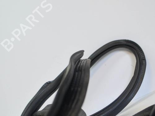 Rubber door seal AUDI Q5 (FYB, FYG) 2.0 TDI quattro | BP14671272C142 