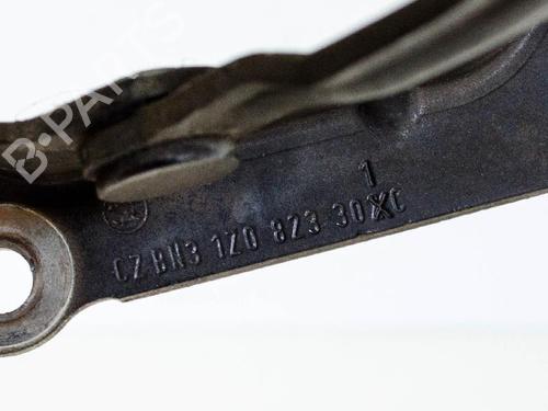Hinge/Door check strap SKODA OCTAVIA II (1Z3) 1.8 TSI | BP14686283C146 
