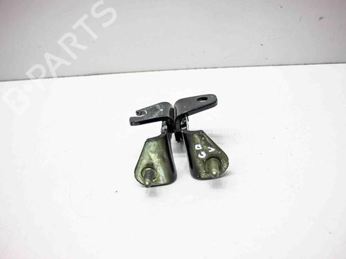 Hinge/Door check strap TESLA MODEL 3 (5YJ3) EV AWD | BP29227865C146 