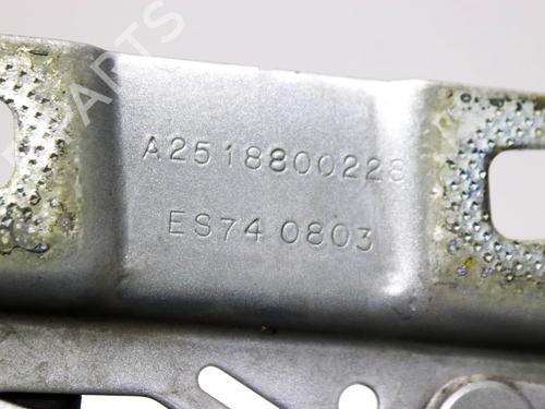 Hinge/Door check strap MERCEDES-BENZ GL-CLASS (X164) GL 500 4-matic (164.886) | BP31857934C146 