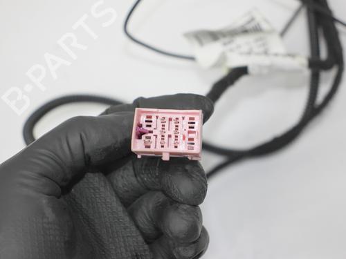 Ledningsnet PORSCHE CAYENNE (92A) 4.8 S | BP32061859E16 