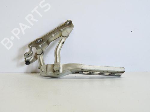 Hinge/Door check strap SKODA OCTAVIA II (1Z3) 1.9 TDI | BP14686554C146 