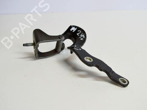 Hinge/Door check strap AUDI A3 Sportback (8PA) 1.8 TFSI | BP14669545C146 