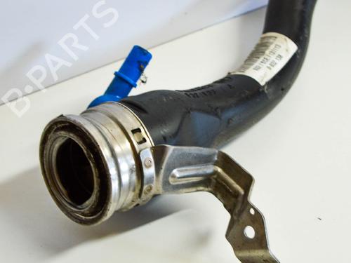 Pipe BMW 4 Coupe (F32, F82) 428 i | BP14671060M125 