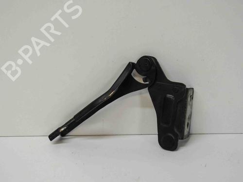 Hinge/Door check strap SEAT EXEO (3R2) 2.0 TDI | BP14674691C146