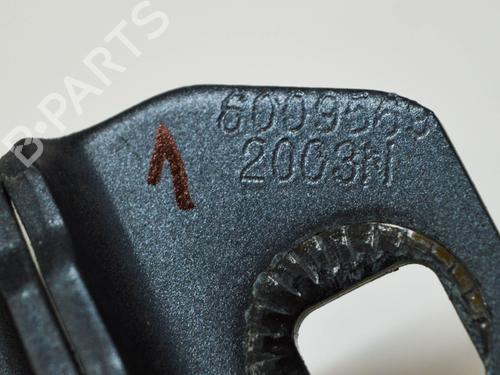 Hinge/Door check strap TESLA MODEL S (5YJS) 85 | BP14679181C146 
