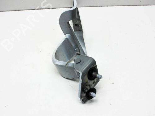 Hinge/Door check strap AUDI A5 Sportback (F5A, F5F) S5 TFSI quattro | BP28019955C146 
