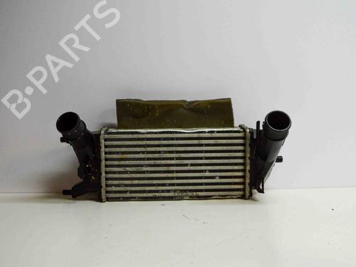 Intercooler FORD ECOSPORT 1.0 EcoBoost (140 hp) 6482197