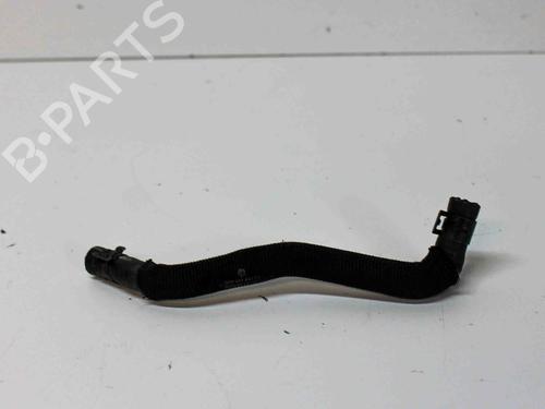 Rør VW PHAETON (3D1, 3D2, 3D3, 3D4, 3D6, 3D7, 3D8, 3D9) 3.0 V6 TDI 4motion (224 hp) 14677472