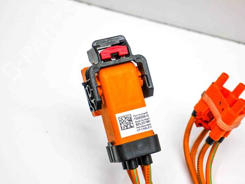 Wiring harness TESLA MODEL 3 (5YJ3) EV AWD | BP29227799E16 