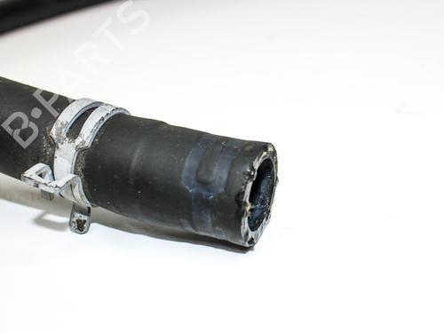 Switch TESLA MODEL S (5YJS) 85 | BP23252022I30 
