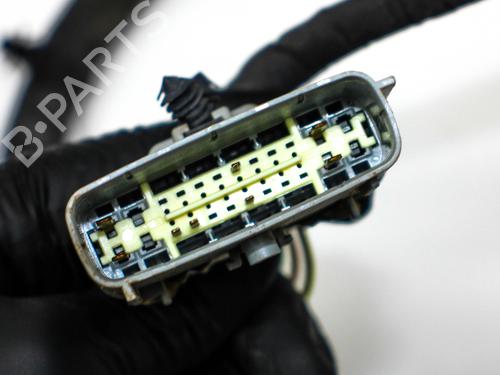 Ledningsnet JEEP COMPASS (MK49) 2.4 | BP29945511E16