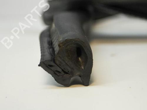 Rubber door seal VW PASSAT CC B6 (357) 2.0 TDI | BP14670417C142 