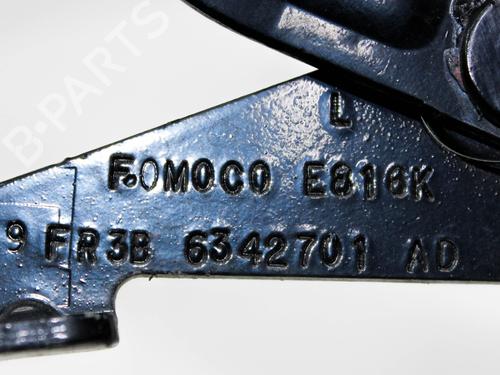 Hinge/Door check strap FORD USA MUSTANG Coupe 3.7 V6 | BP28821512C146 