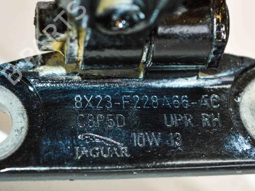 Hinge/Door check strap JAGUAR XF I (X250) 3.0 D | BP14673556C146