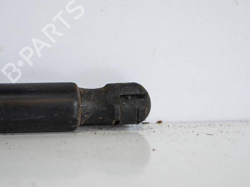 Tailgate lift support VW CADDY III Box Body/MPV (2KA, 2KH, 2CA, 2CH) 2.0 SDI | BP14688132C138 