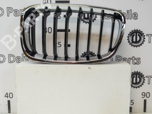 Used Grille BMW 1 (F20) 120 d (163 hp) 6485176