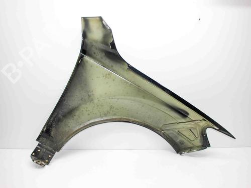 Left front fenders AUDI Q7 (4LB) 3.0 TFSI quattro | BP29593078C41 
