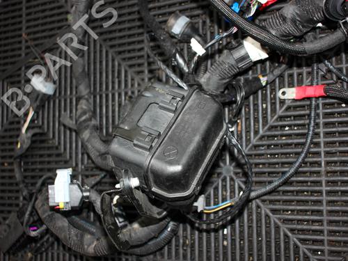 Wiring harness ALFA ROMEO STELVIO (949_) 2.0 Q4 | BP29945448E16 