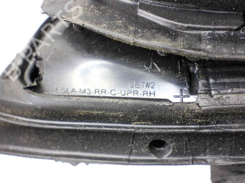 Rubber door seal TESLA MODEL 3 (5YJ3) EV AWD | BP29127941C142