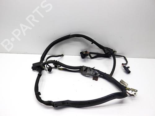 Ledningsnet AUDI Q5 (8RB) 3.0 TFSI quattro (272 hp) 30155436