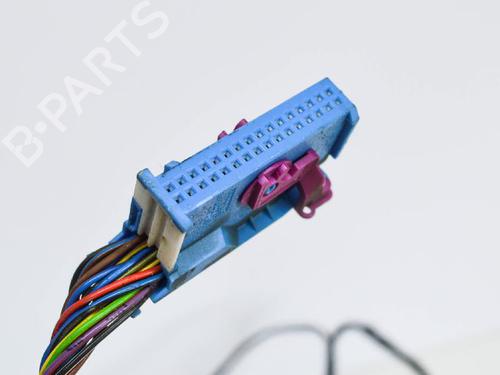 Wiring harness AUDI A6 C7 (4G2, 4GC) 2.0 TDI | BP14685573E16 