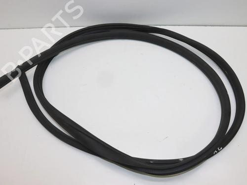 Gummiliste NISSAN ALTIMA (L33) 2.5 | BP36186959C142 - Image 2