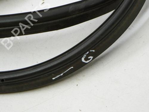 Rubber door seal BMW 3 (F30, F80) 335 i | BP15681295C142 