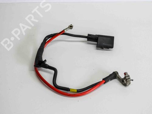 Used Cable VW PASSAT B7 Variant (365) 2.0 TDI (140 hp) 6493493