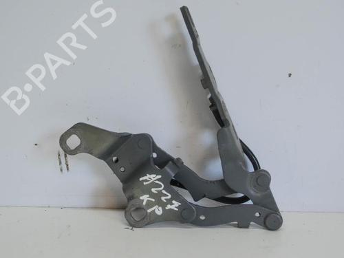 Hinge/Door check strap BMW 3 (E90) 320 d | BP14692547C146 