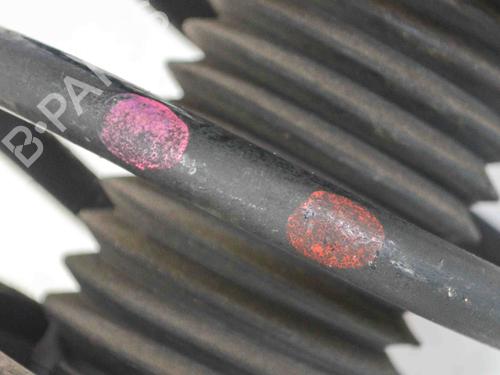 Right front shock absorber FORD KUGA II (DM2) 1.5 TDCi | BP8849032M17 