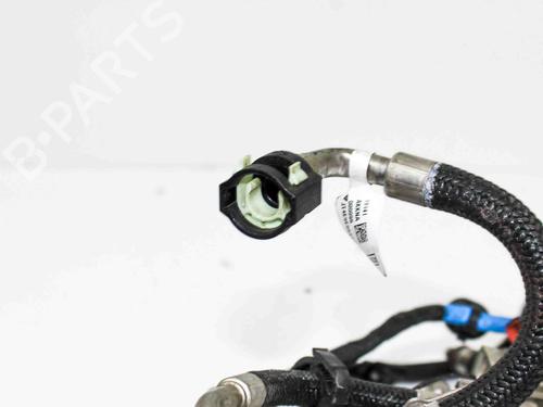 Injector FORD USA F-150 Crew Cab Pickup 2.7 | BP28821170M100 