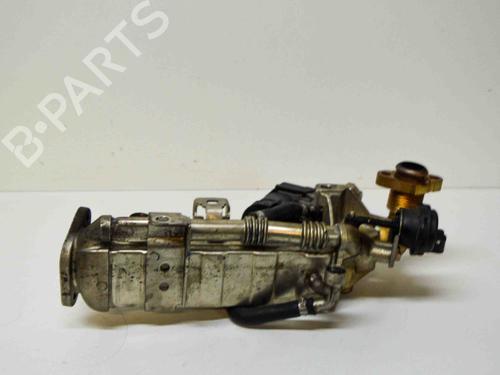 EGR-Ventil BMW 4 Coupe (F32, F82) 420 d | BP13933296M69