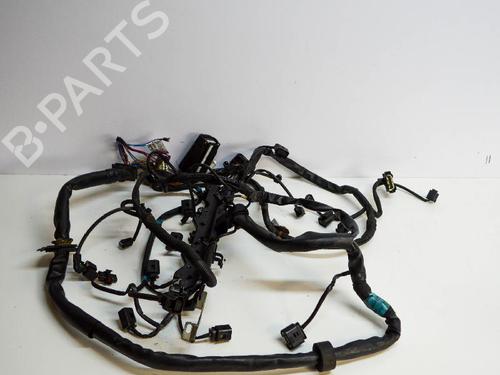 Used Wiring harness MERCEDES-BENZ CLC-CLASS (CL203) CLC 220 CDI (203.708) (150 hp) 14669364