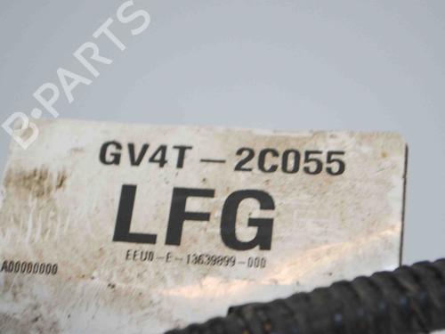 Ledningsnet FORD KUGA II (DM2) 1.5 TDCi | BP14670981E16