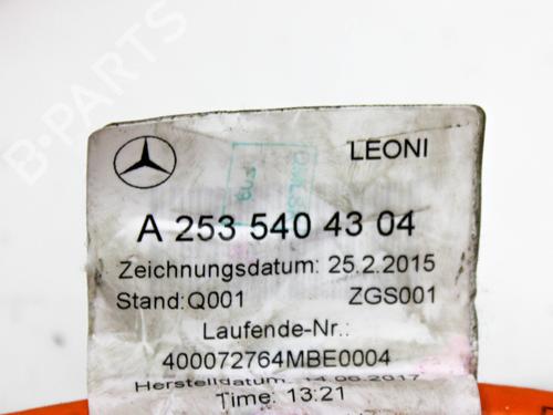 Wiring harness MERCEDES-BENZ GLC (X253) 350 e 4-matic (253.954) | BP28821316E16 