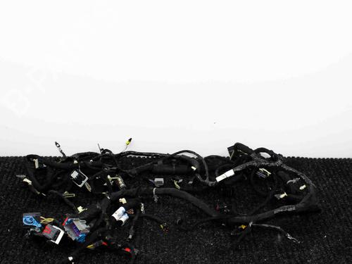 Used Wiring harness FORD USA MUSTANG Coupe 3.7 V6 (305 hp) 28821519