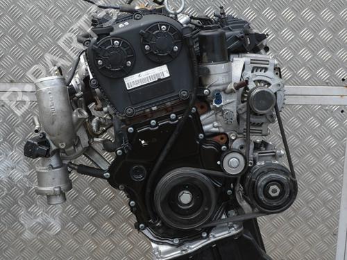 Used Engine Engine AUDI A4 B9 (8W2, 8WC) 2.0 TFSI (190 hp) 10915456 10915456
