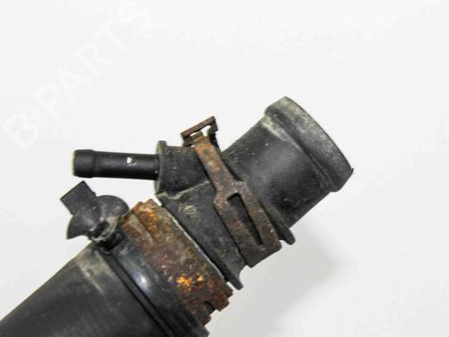 Pipe VW PHAETON (3D1, 3D2, 3D3, 3D4, 3D6, 3D7, 3D8, 3D9) 3.2 V6 | BP21195929M125 