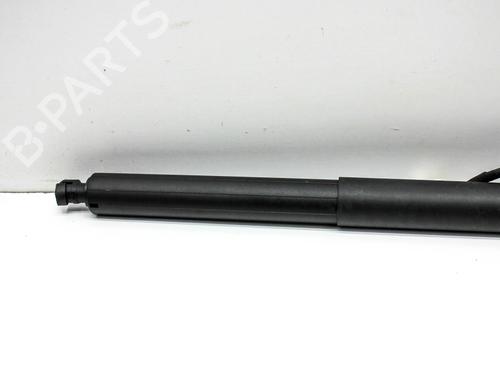 Tailgate lift support TESLA MODEL Y (5YJY) EV Performance All-wheel Drive | BP28823066C138 