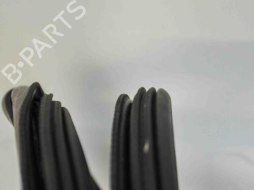 Rubber door seal AUDI Q5 (8RB) 2.0 TDI quattro | BP14675592C142