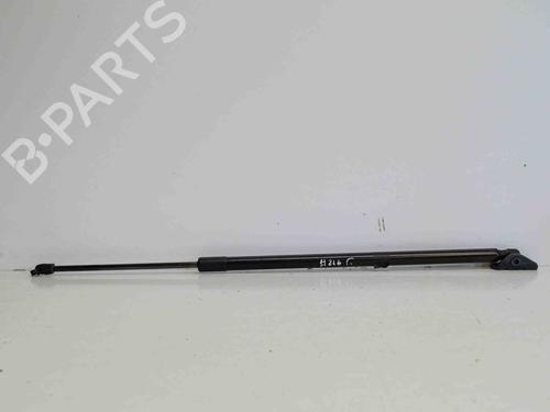 Used Tailgate lift support FORD KUGA II (DM2) 2.0 TDCi 4x4 (163 hp) 14692285