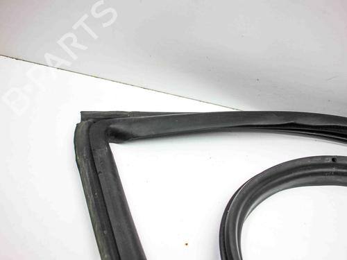Rubber door seal TESLA MODEL 3 (5YJ3) EV AWD | BP29127941C142