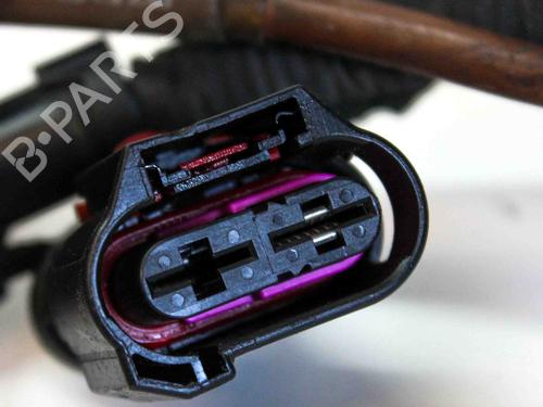 Wiring harness AUDI Q5 (FYB, FYG) 2.0 TFSI quattro | BP14676881E16 