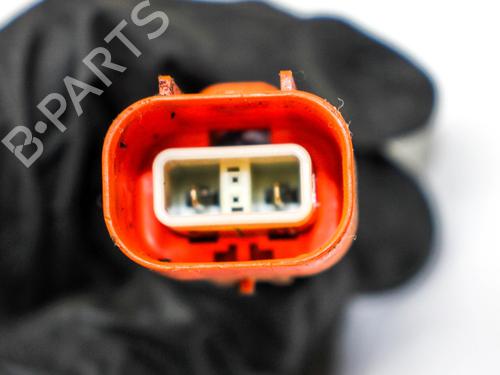 Wiring harness TESLA MODEL Y (5YJY) EV Performance All-wheel Drive | BP28823077E16 
