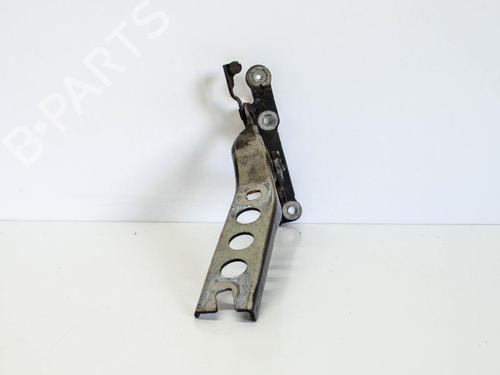 Hinge/Door check strap SKODA OCTAVIA II (1Z3) 1.8 TSI | BP14686283C146 